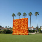 Orange Wild Rose Flower Wall Backdrop - 238