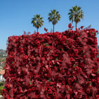 Into the Meadow Red Rose Premium Flower Wall - 235