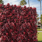 Into The Meadow Red Rose Flower Wall - 052