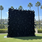 Black Wild Rose Feather Wall - 026