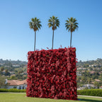 Into the Meadow Red Rose Premium Flower Wall - 235