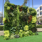 Botanical Dream Premium Greenery Flower Wall - 507