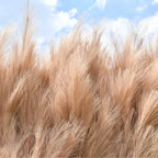 Brown Premium Pampas Grass Wall - 080