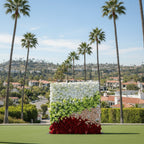 White, Green, Red and Pink Premium Rose Flower Wall - 327