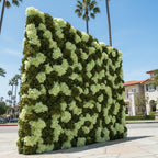 Dark and Light Green Hydregea Premium Flower Wall Backdrop - 333