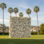 Blush Cream Premium Rose Flower Wall - 161