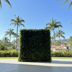 Deluxe Hedge Greenery Wall - 501