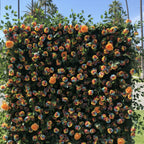 Ultimate Rainbow Rose Premium Flower Wall - 007