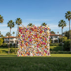 Blue, Orange & Cream Premium Flower Wall - 120