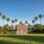 Blue, Orange & Cream Premium Flower Wall - 120