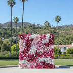 Deep Red, Pink and White Swirl Premium Flower Wall - 148