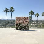 Dripping Light Pink Premium Flower Wall - 143