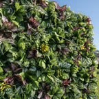 Retro Tropical Greenery Premium Flower Wall - 529