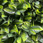 Thick Hedge Deluxe Greenery Floral Wall - 535