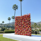 Pink, Orange & Yellow Wild Rose Premium Flower Wall - 121