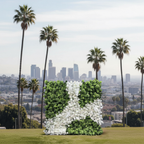 Wild White Rose and Greenery Premium Flower Wall - 285