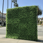 California Hedge Greenery Wall - 504