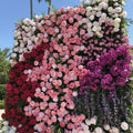Dripping Florals Premium Flower Wall, 8x8 ft
