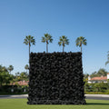 Deluxe Black Wild Rose Flower Wall - 024