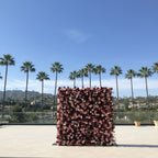 Red, Pink & White Rose Premium Flower Wall - 131