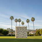 Blush Cream Premium Rose Flower Wall - 161