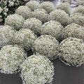 Pure Babys Breath Premium Flower Ball - 1070