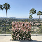 Dripping Light Pink Premium Flower Wall - 143