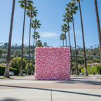 Pink & Peach Wild Rose Premium Flower Wall - 225