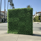 California Hedge Greenery Wall - 504