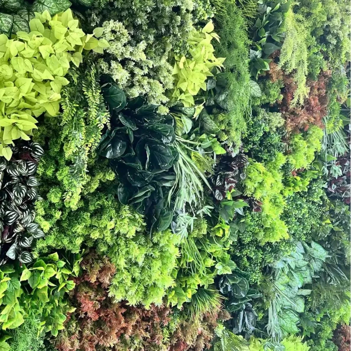 Botanical Dream Premium Greenery Flower Wall - 507