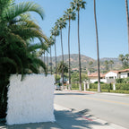 White Feather Wall - 071