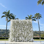 Baby's Breath White Rose Flower Wall - 060