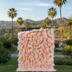 Peach Feather Wall - 076