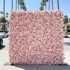 Light Pink & Cream Rose Premium Flower Wall - 030