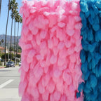 Pink & Blue Feather Wall - 311