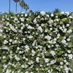 White Rose Greenery Moss Premium Flower Wall - 516