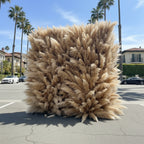 Tall Dark Tan Deluxe Wild Pampas Premium Flower Wall - 200