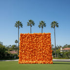 Orange Wild Rose Flower Wall Backdrop - 238
