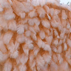 Peach Feather Wall - 076