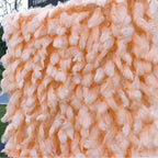 Peach Feather Wall - 076