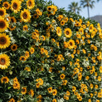 Premium Yellow & Greenery Sunflower Flower Wall - 514