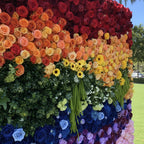 Rainbow Rose Premium Flower Wall - 100