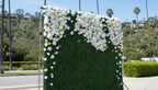 Classic Greenery Hedge with White Rose Design Premium Wall - 524