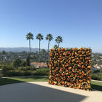 Orange & Yellow Premium Greenery Flower Wall - 160