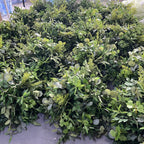 Meadow Greenery Premium Flower Ball - 1056