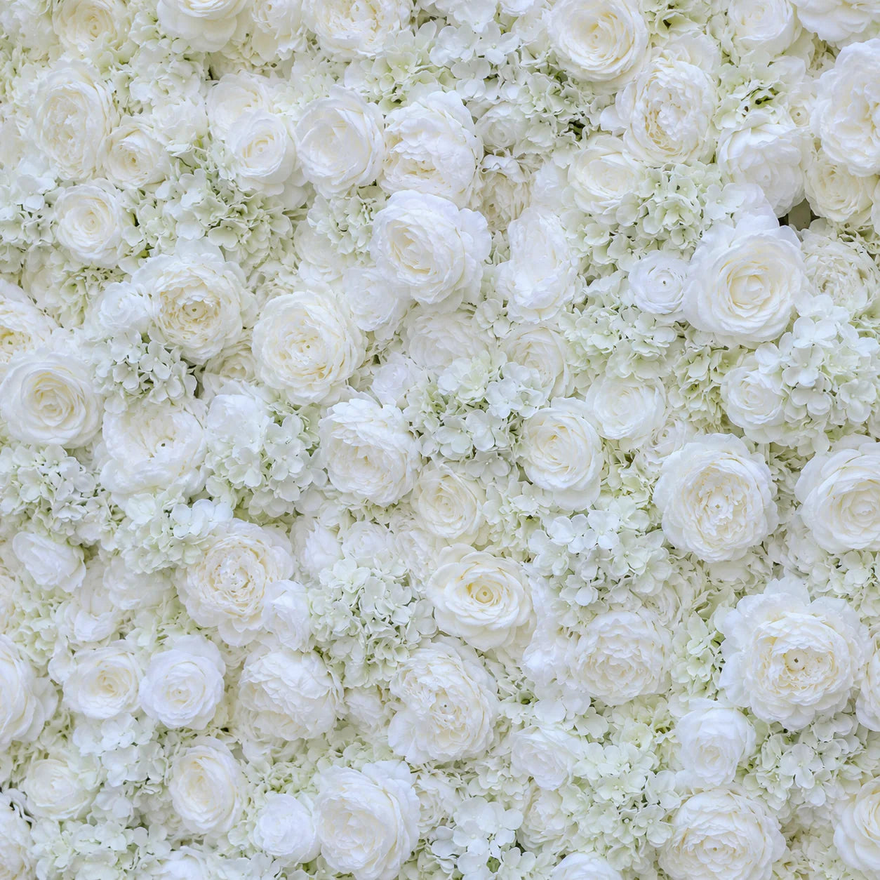 Classic White Rose Hydrangea Flower Backdrops | 001
