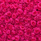 Classic Hot Pink Rose Flower Wall Backdrop - 240