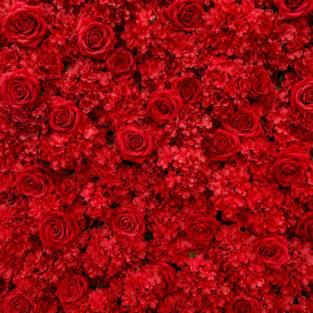 Classic Red Rose Hydrangea Flower Wall & Backdrops | 002