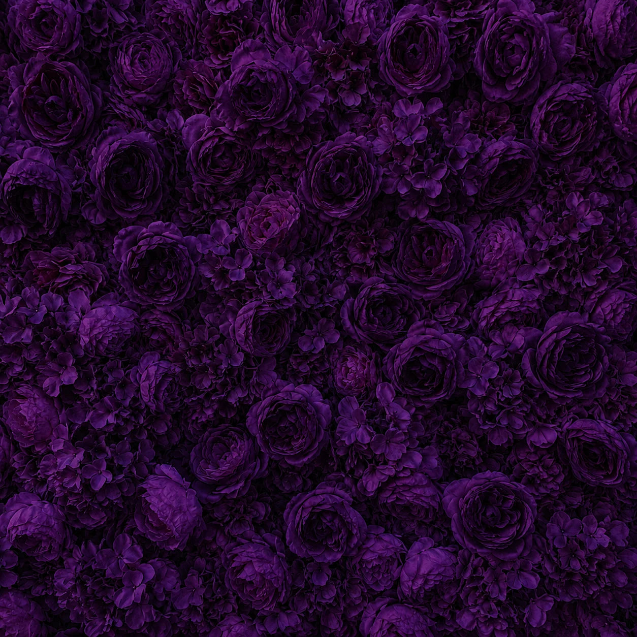 Classic Dark Purple Rose Hydrangea Flower Wall & Backdrop |  005