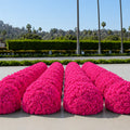 Classic Hot Pink Rose Flower Wall Backdrop - 240
